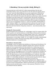 Cellandning | Citronsyracykeln i detalj