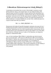 Cellmembran | Elektrontransporten i detalj