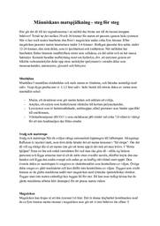 Människans matspjälkning | Steg för steg | Biologi