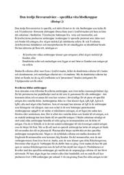 Den tredje försvarsnivåer
