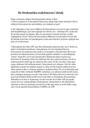 De fotokemiska reaktionerna i detalj