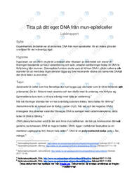 Epitelceller DNA |  Labbrapport