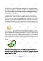 Celler | Eukaryoter | Bakterier | Uppgift i biologi