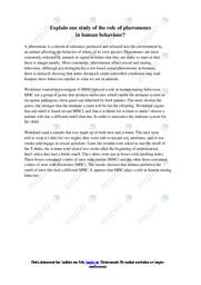 Explain one study of the role of pheromones  in human behaviour