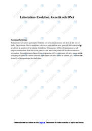 DNA, Evolution & Genetik | Labbrapport