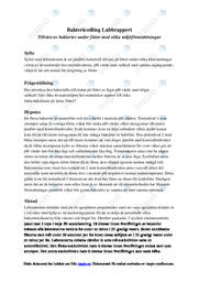 Exempel Av Personligt brev på Engelska | Vacancy for assistant