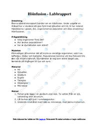 Höinfusion | Labbrapport